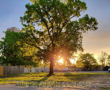 The tree that no longer exists on W. 9th Street