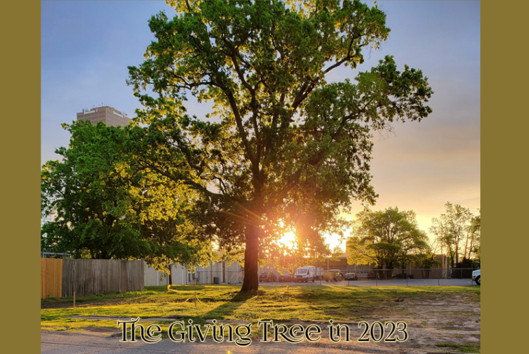 The tree that no longer exists on W. 9th Street