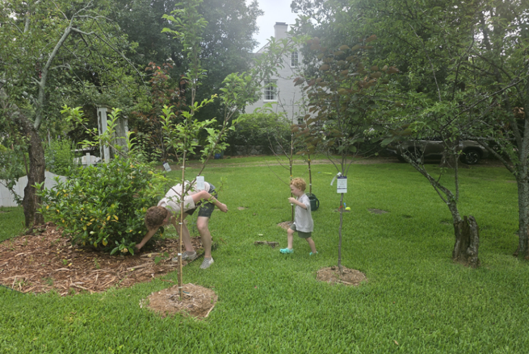 Matt and Arthur tend the yard